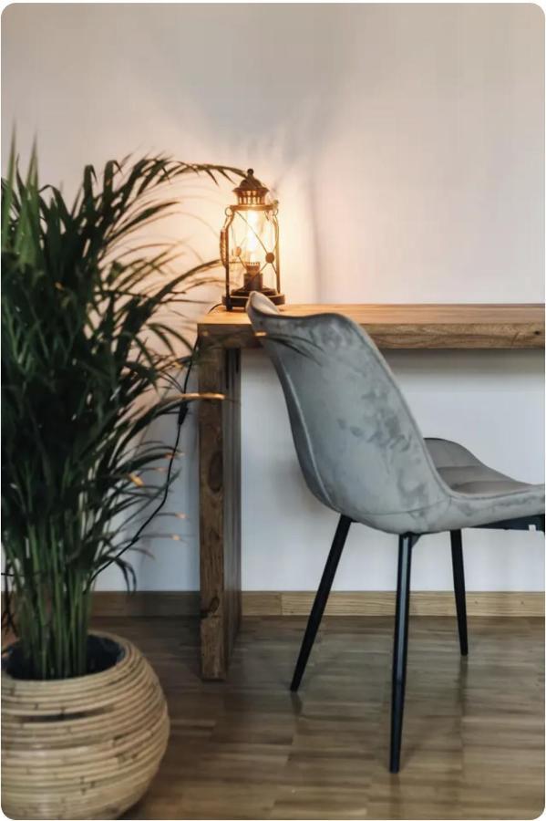 Tip! Zentraler Geht'S Nicht! Premium Apartment In Der Altstadt Dresden Buitenkant foto
